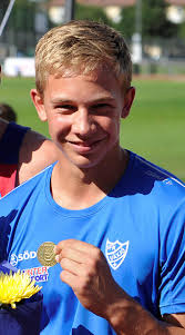 Smålands FIFs notisarkiv