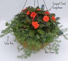 How To Create A Container Garden Fairview Garden Center Container Gardening Garden Containers Garden Center