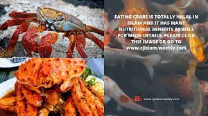 Are options halal or haram? Cjislam Com Why Eating Crab Meat Is Halal Facebook
