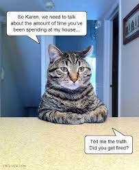 So Karen Funny Cat Memes Cat Memes Cats