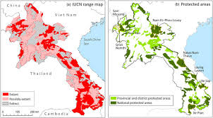 Asiatic Black Bear Range Map A Iucn Range Map For The Asiatic Black Bear Ursus Thibetanus And Sun Download Scientific Diagram