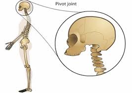 Learn Joints in 3 minutes.