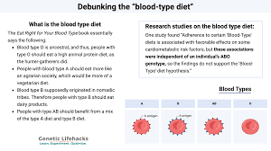 Image result for Blood Type