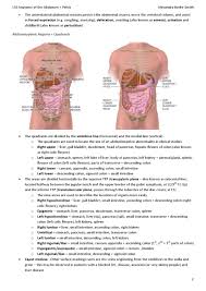 The human abdomen is divided into quadrants and regions by anatomists and physicians for the purposes of study, diagnosis, and treatment. Alex S Anatomy Of The Abdomen By Icsm Su Issuu