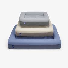 Memory foam dog beds are equipped with numerous mini springs for utmost support, ensuring that the bed distributes your weight evenly throughout the surface. Best Dog Beds According To Dog Experts 2021 The Strategist New York Magazine
