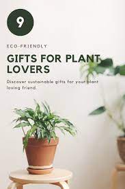 Sustainable Gifts For Plant Lovers Sustainable Gifts Plant Lover Plants