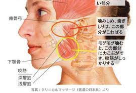 背中の痛み ゆめとわのホームページ リンパマッサージ 背中の痛み 痛み