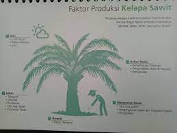 Kebelakangan ini, saya telah mulai memikirkan tentang projek pertanian yang boleh mendatangkan hasil. Faktor Yg Mempengaruhi Produksi Kelapa Sawit Euy Asisten Afdeling Euy