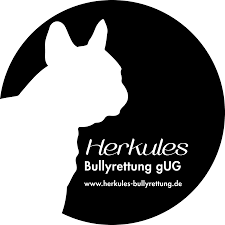 Herkules Bullyrettung g.UG | Horgau