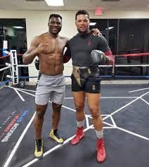 Francis ngannou overeem mma francis ngannou francis ngannou hands francis ngannou muscles francis ngannou sand mine ufc francis. Seven Ufc Fighters Who Could Cross Over To Boxing After Conor Mcgregor Confirms Manny Pacquiao Fight