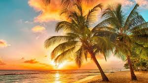 If you're looking for the best sunset beach background then wallpapertag is the place to be. Tropical Beach Sunset Hd Wallpapers Top Free Tropical Beach Sunset Hd Backgrounds Wallpaperaccess