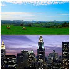 Now, a couple of disadvantages existing in the city. Which Do You Like Better Country Life Or City Life City Vs Country Country Life Essay About Life