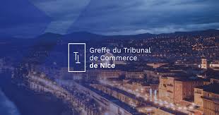 19 avenue parmelan bp 70259 74007 annecy cedex. Loueur En Meuble Non Professionnel Greffe Du Tribunal De Nice