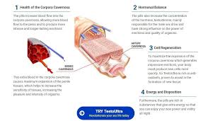 This conspicuous testosterone boosting cure is open as a trial to begin with, allowing you to see how well it works in your regimen before are there any side effects with the use of testo ultra pills? Testo Ultra