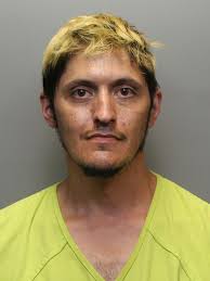 Larimer County most wanted: Nicholas Pulice