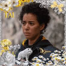 The Brown Hornet GIFs