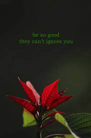 Poinsettia Inspirational Quotes For 2018 Beautiful Flowers Beautiful Flowers With Quotes Flower Phot Inspirational Quotes Flowers Photography Flower Quotes