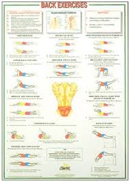 Type in aerobic exercises into this merged cell. Back Exercises Chart