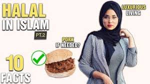 Martin of blossom finance, a fintech startup based in indonesia. 10 Popular Halal Foods Invidious