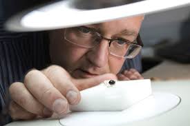 International honour for leading ecologist at Plymouth University