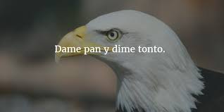 Birds That Start With Q In Spanish 29 Short And Awesome Spanish Quotes English Explained Enkiquotes Spanish Quotes Short Spanish Quotes Spanish Quotes With Translation