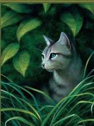 Ivypool Warrior Cats Art Warrior Cats Warrior Cats Books
