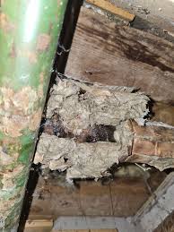 Image result for site:byggahus.se rörisolering