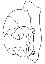 Ausmalbilder meerschweinchen galerie ausmalbilder meerschweinchen. Meerschweinchen Ausmalbilder Malvorlagen 100 Kostenlos