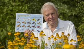 sir david attenborough tells gardeners to plant to help