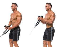 Cable Hammer Curls Rope Fitness Stars