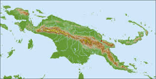 Image result for Dichilus