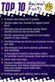 Enjoy our wide range of fun animal facts for kids. 110 Animal Facts Ideas Animal Facts Facts Fun Facts For Kids