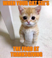 Maybe you would like to learn more about one of these? 17 Really Funny Thanksgiving Memes Doublyu