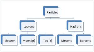 Particle Physics Tutorial 8