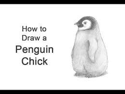 Next, we draw the face. How To Draw A Penguin Chick Youtube