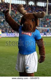 Arminia bielefeld augsburg bayer leverkusen bayern munich borussia dortmund borussia m'gladbach eintracht frankfurt freiburg hertha bsc hoffenheim köln mainz 05 rb leipzig schalke. Tsg 1899 Hoffenheim Football Club Mascot Moose Hoffi Cheering Stock Photo Alamy