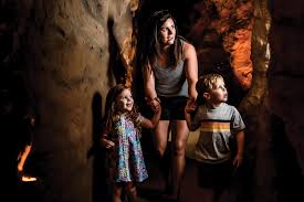 Key features of the new museum include: Cook Museum Of Natural Science Educates And Entertains All Ages Alabama Living Magazine