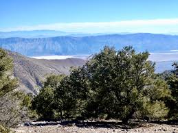 Greater las vegas association of realtors inc. Offroad Page 2 David Willett