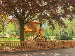 Baumgaus Mit Sandkasten Integriert Im Garten Garten Sandkasten Baum