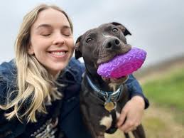 Dog has been waiting over 500 days for new home