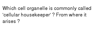 22) after being formed by ribosomes on the endoplasmic reticulum, what is the next organelle to which a protein might be transported? In Which Organelle Does Cellular Respiration Occur
