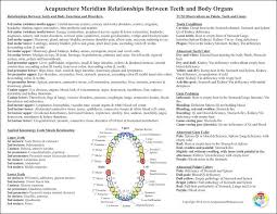 dental tooth acupuncture meridian chart