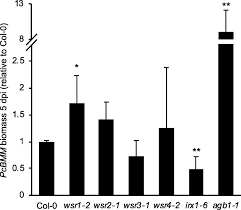 The genes which are expressed specifically in stems are mainly encoding cell wall proteins and other metabolic enzymes of the plant vasculture. Functional Characterization Of Genes Mediating Cell Wall Metabolism And Responses To Plant Cell Wall Integrity Impairment Bmc Plant Biology Full Text