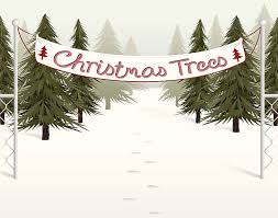Download christmas tree farm images and photos. Bainbridge Kitsap U Cut Tree Farms Jen Pells