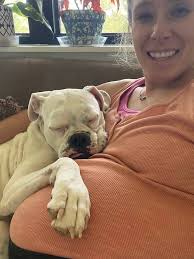 my babies Roscoe and Rosie