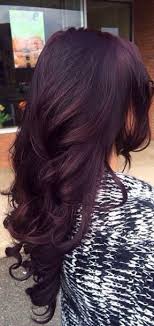 Vivid purple lowlights can blend surprisingly well into dark blonde hair and make it look more interesting. Are You Looking For Dark Burgundy Plum Violets Purple Hair Color Highlights Lowlights For New Years Couleur Cheveux Tendance Couleur Cheveux Coupe De Cheveux