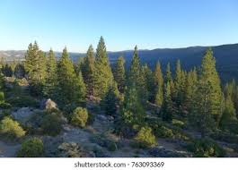 Portofolio Foto & Gambar Stok dari Wesley Cogan