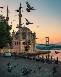 8 414 Begenme 316 Yorum Instagram Da Halit Bilen Bildrone Istanbul Kuslarin Olsa Butun Istanbul Photography Istanbul Turkey Photography Istanbul Travel