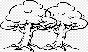 Oak Tree Outline Pine Tree White Mammal Png Pngegg Labrador retriever puppy drawing, dog outlines, white, mammal, carnivoran png. oak tree outline pine tree white