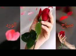 pin on صباح الخير